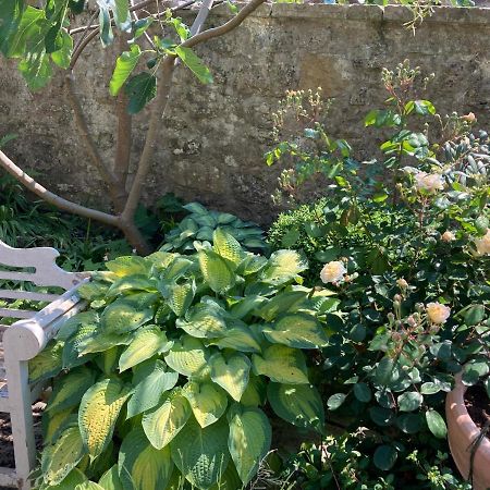 Maplestone Bed and Breakfast Shepton Mallet Buitenkant foto