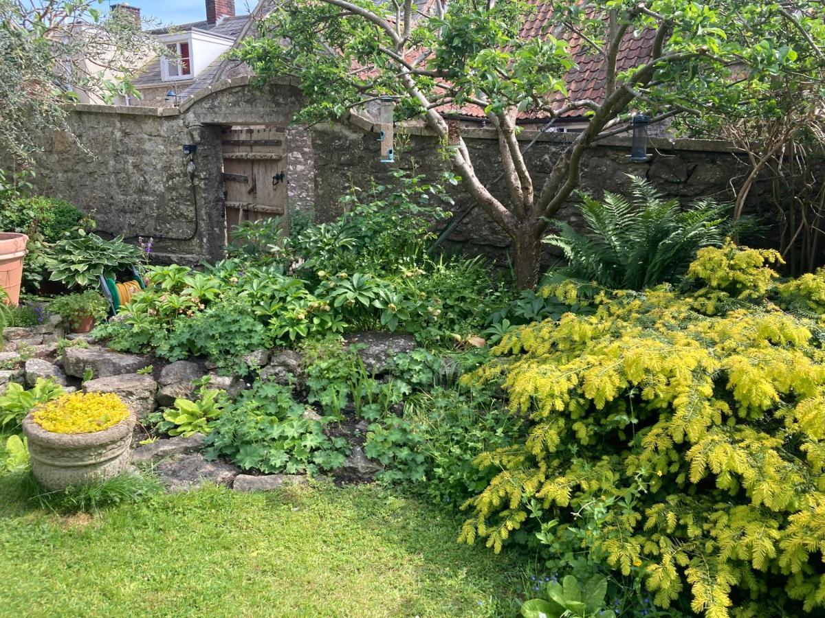 Maplestone Bed and Breakfast Shepton Mallet Buitenkant foto