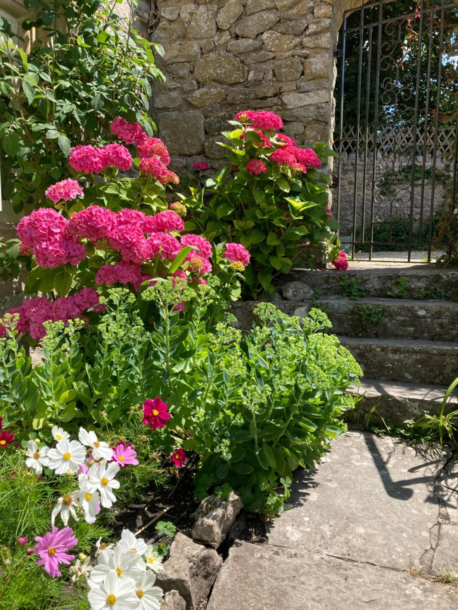 Maplestone Bed and Breakfast Shepton Mallet Buitenkant foto