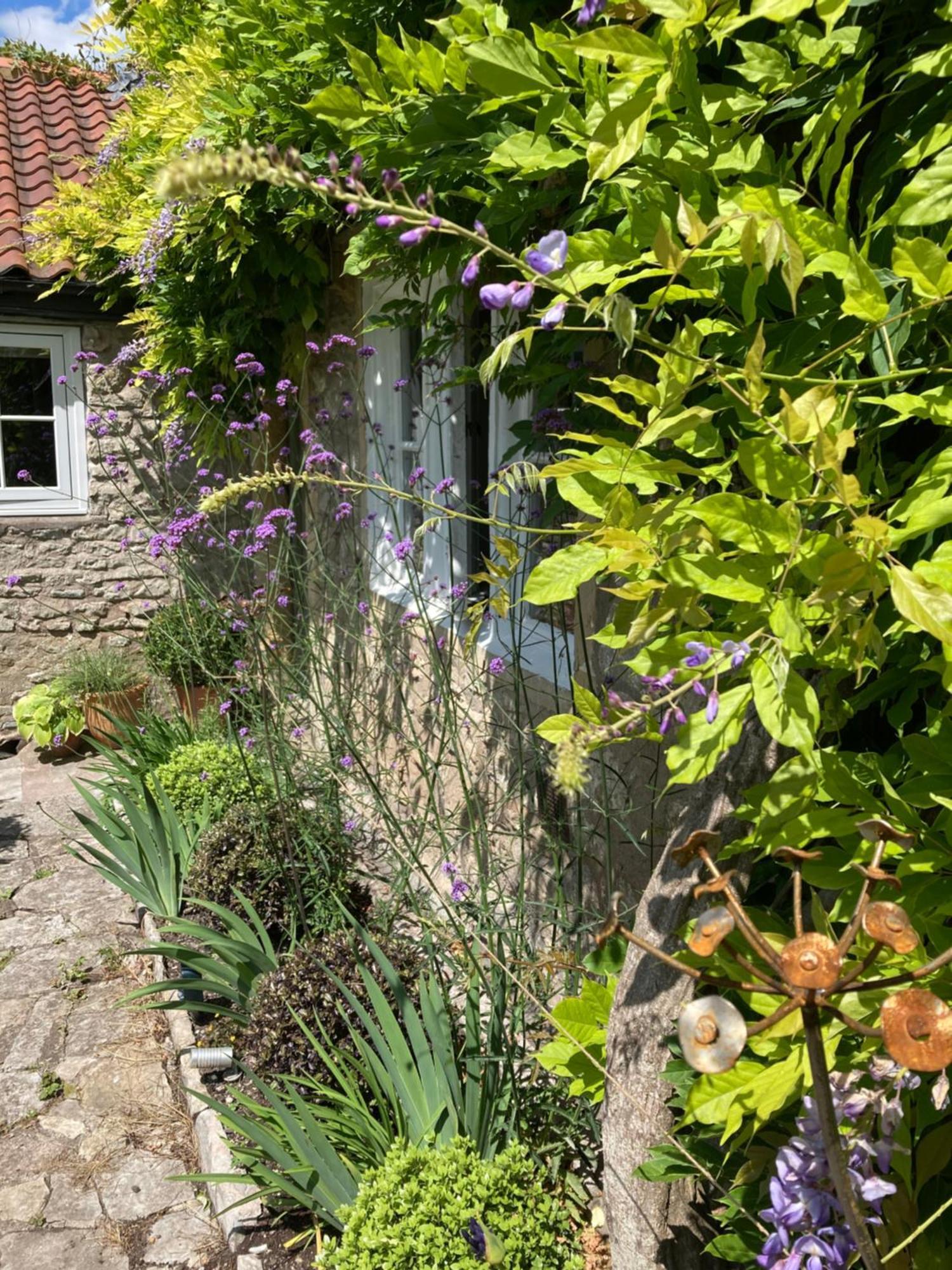Maplestone Bed and Breakfast Shepton Mallet Buitenkant foto